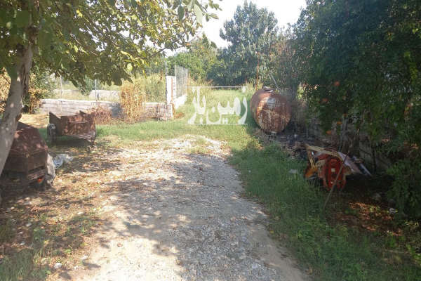 فروش زمین دویست متری در روستای معلم کلا-4