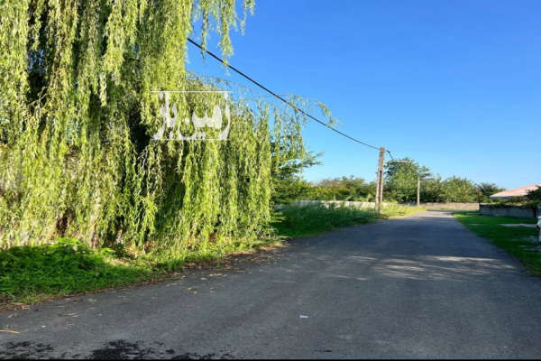 فروش زمین ساحلی ۳۰۰ متر روستای نوکنده رضوانشهر-3
