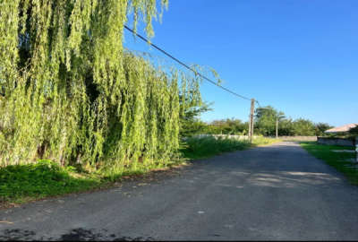فروش زمین ساحلی ۳۰۰ متر روستای نوکنده رضوانشهر