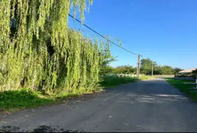 فروش زمین ساحلی ۳۰۰ متر روستای نوکنده رضوانشهر