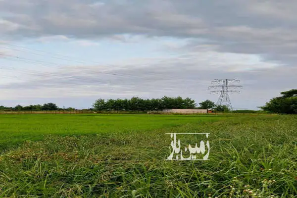 فروش زمین ۱۲۵۰۰ متری در روستای سندیان - تصویر 3