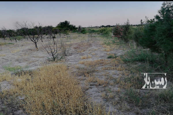 فروش زمین باغی ۴۵۰ متری شهریار روستای حصارساتی-3