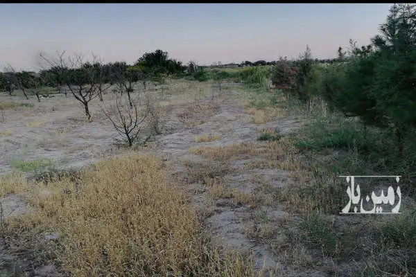 فروش زمین باغی ۴۵۰ متری شهریار روستای حصارساتی - تصویر 2