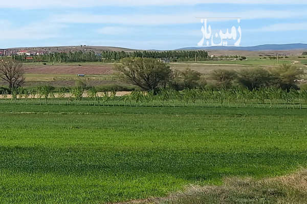 فروش زمین کشاورزی درنمین روستای خانقاه سفلی ۱۱۴۰۰ متر-2