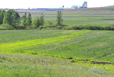 فروش زمین کشاورزی درنمین روستای خانقاه سفلی ۱۱۴۰۰ متر