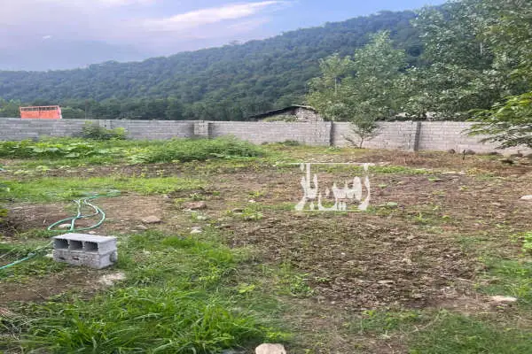 فروش زمین در روستای رزکه ۲۳۶ متر جاده هراز - تصویر 2