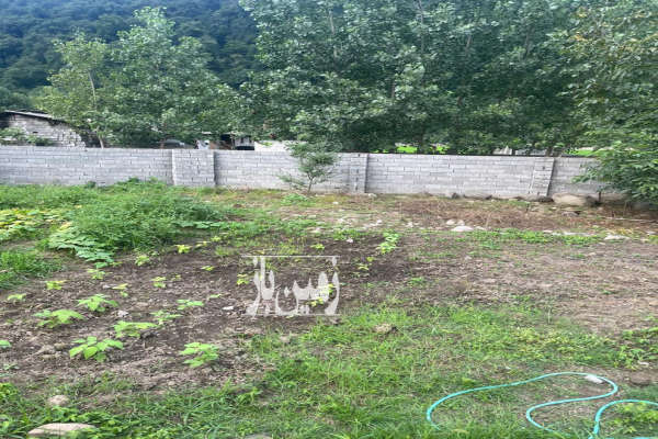 فروش زمین در روستای رزکه ۲۳۶ متر جاده هراز-3