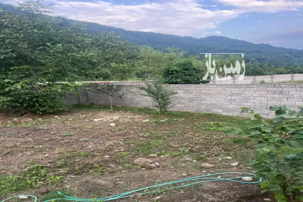 فروش زمین در روستای رزکه ۲۳۶ متر جاده هراز - تصویر 4