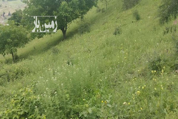 فروش زمین در رحمت آباد روستای چره روبروی قله درفک ۸۲۰۰ متر-1