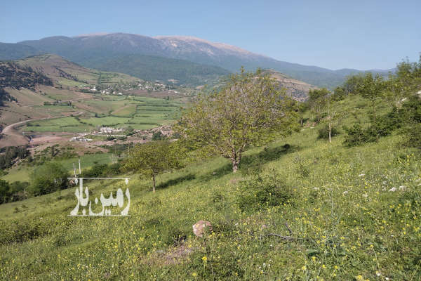 فروش زمین در رحمت آباد روستای چره روبروی قله درفک ۸۲۰۰ متر-3