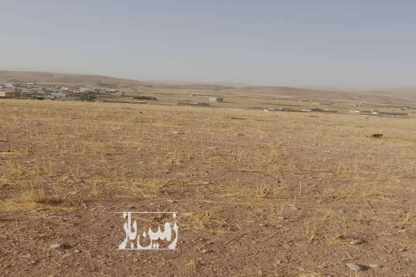 فروش ۱۰۰۰متر زمین نجیم اباد ۳ کیلومتر بالاتر از مینودر-1