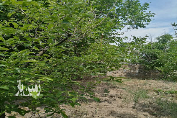 فروش باغ مسکونی با سند تک برگ در ابهر نورین ۱۰۵۰ متر-1