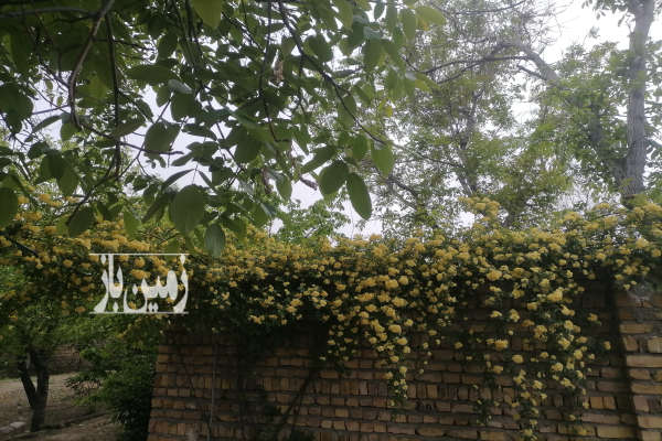 فروش باغ مسکونی با سند تک برگ در ابهر نورین ۱۰۵۰ متر-2