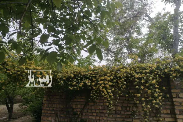فروش باغ مسکونی با سند تک برگ در ابهر نورین ۱۰۵۰ متر - تصویر 2