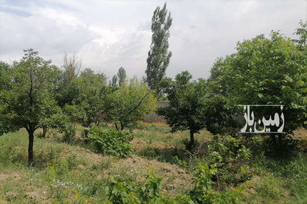 فروش باغ مسکونی با سند تک برگ در ابهر نورین ۱۰۵۰ متر-3