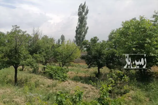 فروش باغ مسکونی با سند تک برگ در ابهر نورین ۱۰۵۰ متر - تصویر 3