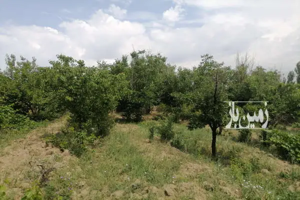 فروش باغ مسکونی با سند تک برگ در ابهر نورین ۱۰۵۰ متر - تصویر 4