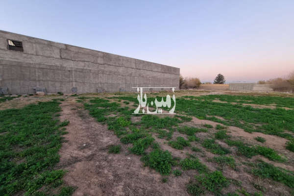 فروش ۵۰۰ متر زمین مناسب سوله انباری گلخونه طالب اباد-2