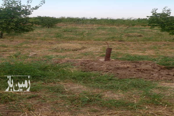 فروش باغ با درختان زردالو در روستای خوک ۱۰۰۰ متر-1