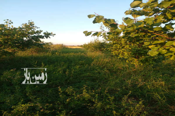 فروش باغ با درختان زردالو در روستای خوک ۱۰۰۰ متر-2