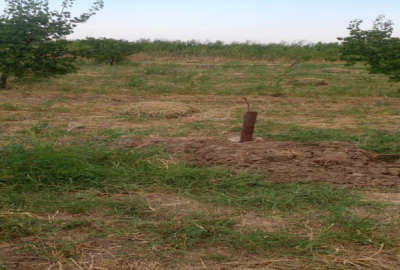 فروش باغ با درختان زردالو در روستای خوک ۱۰۰۰ متر