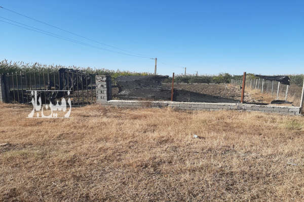 فروش زمین خونه باغی جاده ساری به لاریم جنب روستای کیامحله ۸۵۰ متر-1