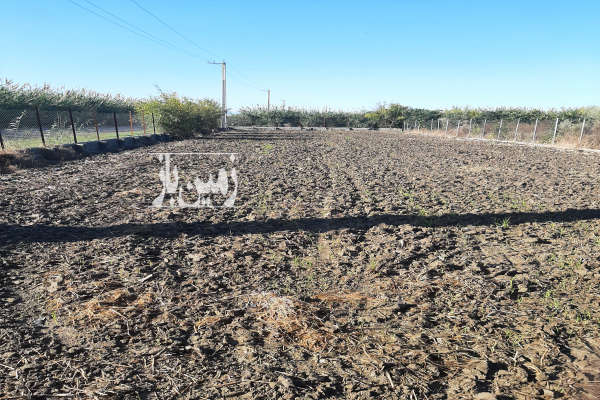 فروش زمین خونه باغی جاده ساری به لاریم جنب روستای کیامحله ۸۵۰ متر-2