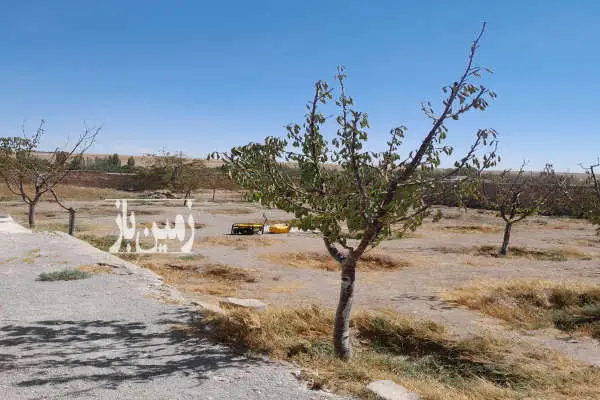فروش هزار متر زمین چهاردیواری در جاده رشت روستای دودهه - تصویر 2