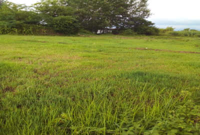 فروش زمین در روستای کنسستان ۱۱۰۰ متر