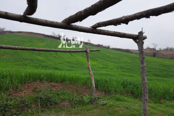 فروش زمین شیبدار ۶ هزار متری در روستای کمیشان-1