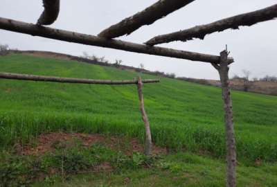 فروش زمین شیبدار ۶ هزار متری در روستای کمیشان