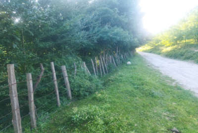 فروش زمین کشاورزی در دودانگه روستای قارنسرا ۳۲۰۰ متر
