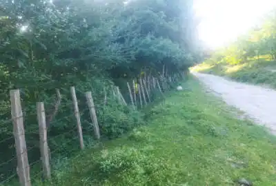 فروش زمین کشاورزی در دودانگه روستای قارنسرا ۳۲۰۰ متر