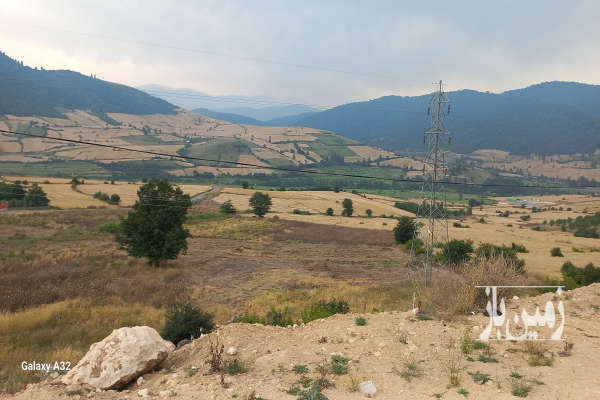 فروش زمین کشاورزی تفکیک شده جاده کیاسر روستای مازارستاق-2