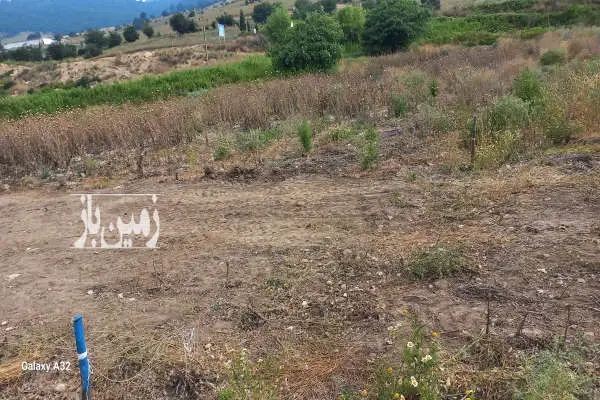 فروش زمین کشاورزی تفکیک شده جاده کیاسر روستای مازارستاق - تصویر 2
