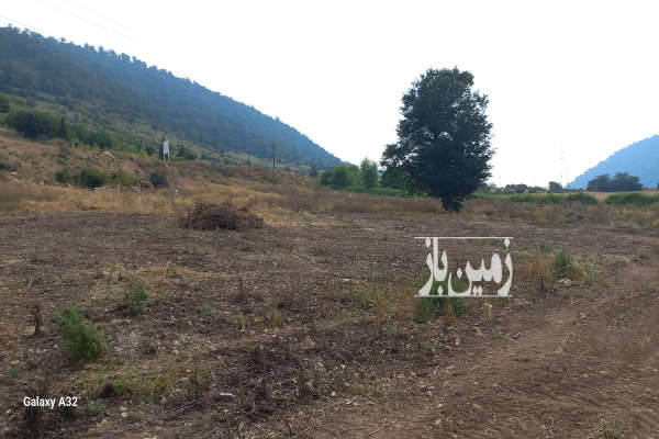 فروش زمین کشاورزی تفکیک شده جاده کیاسر روستای مازارستاق-4