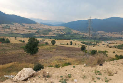 فروش زمین کشاورزی تفکیک شده جاده کیاسر روستای مازارستاق
