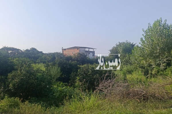 فروش باغ مرکبات ۱۰۰۰ متر معاوضه با خونه-2