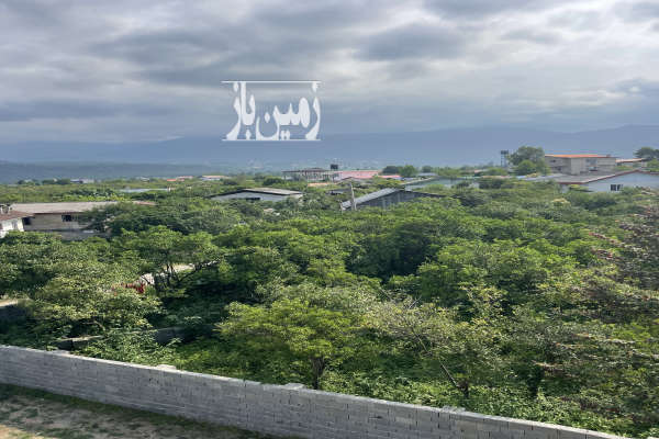 فروش زمین ۱۱۷۰۰ باغ مرکبات نشتارود خیابان خرمسرا-1