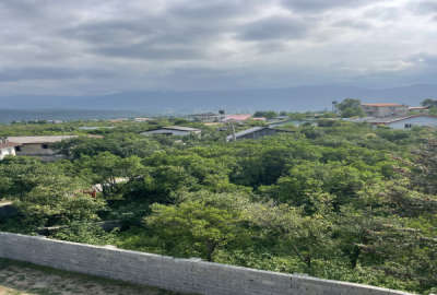 فروش زمین ۱۱۷۰۰ باغ مرکبات نشتارود خیابان خرمسرا