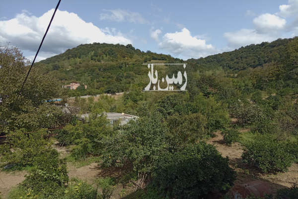 زمین باغی ومسکونی ۲۰۷۰متری روستای دروپی-1