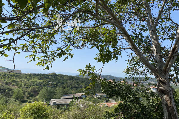فروش زمین دو نبش در روستای درونکلای شرقی ۱۸۰۰ متر-1