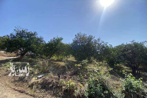 فروش زمین دو نبش در روستای درونکلای شرقی ۱۸۰۰ متر-2