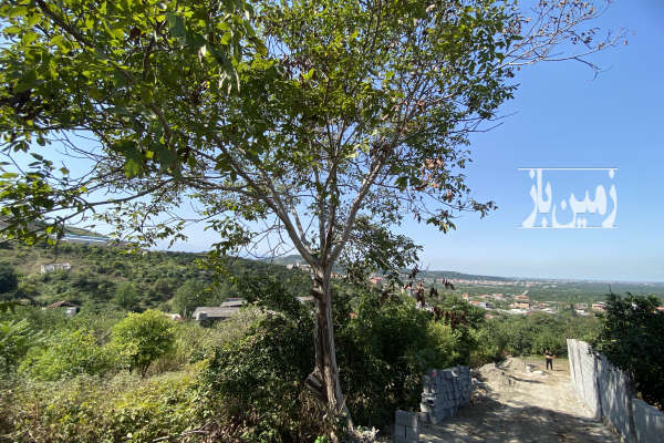 فروش زمین دو نبش در روستای درونکلای شرقی ۱۸۰۰ متر-3