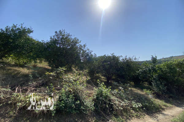 فروش زمین دو نبش در روستای درونکلای شرقی ۱۸۰۰ متر-4