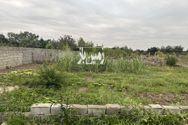 فروش زمین ۲۰۰متری در روستای مشهدسرا بابل-2