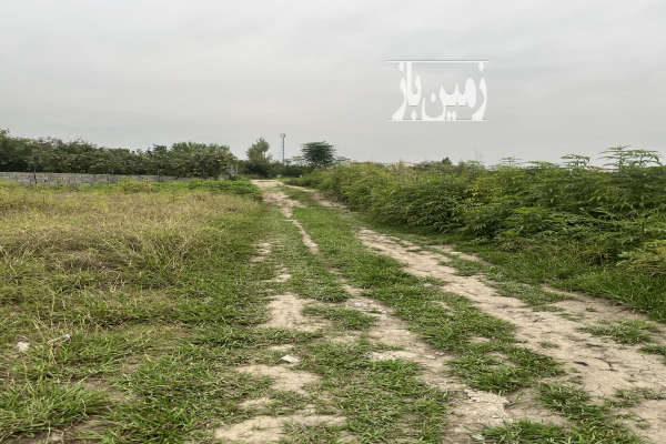 فروش زمین ۲۰۰متری در روستای مشهدسرا بابل-4