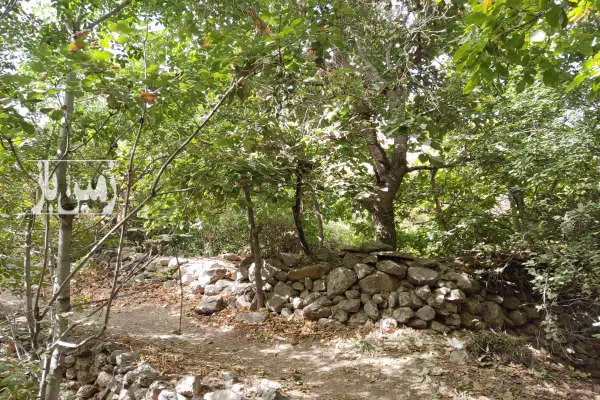 فروش زمین کشاورزی قابل ساخت روستای دره کاشان ۲۵۰۰ متر - تصویر 4