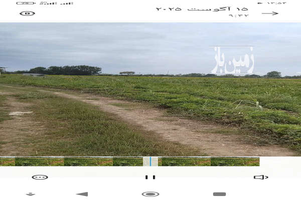 فروش باغ مرکبات ۲۰۰۰ متری وایساده جاده معدن-2