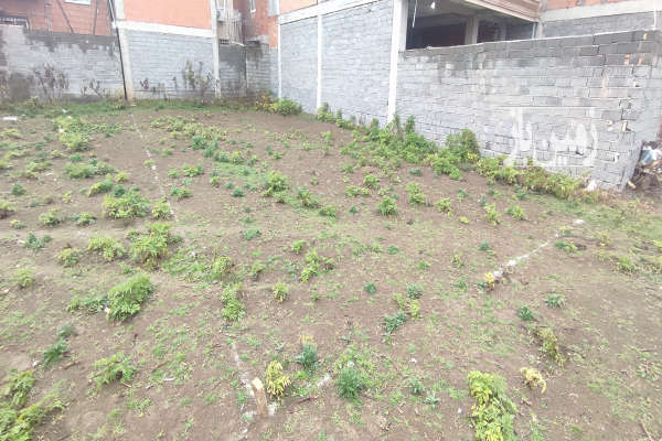 فروش زمین آماده برای ساخت ۲۰۰ متری در سنگریزه-1